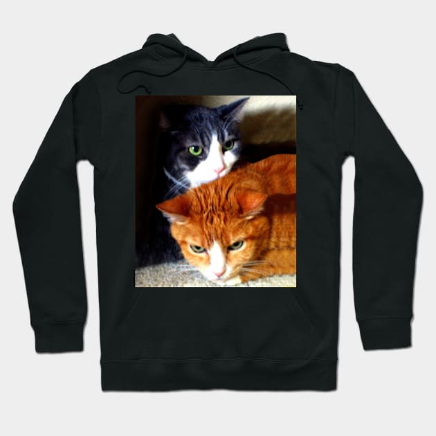 Two Kitty Cats Hoodie by CarloVaro